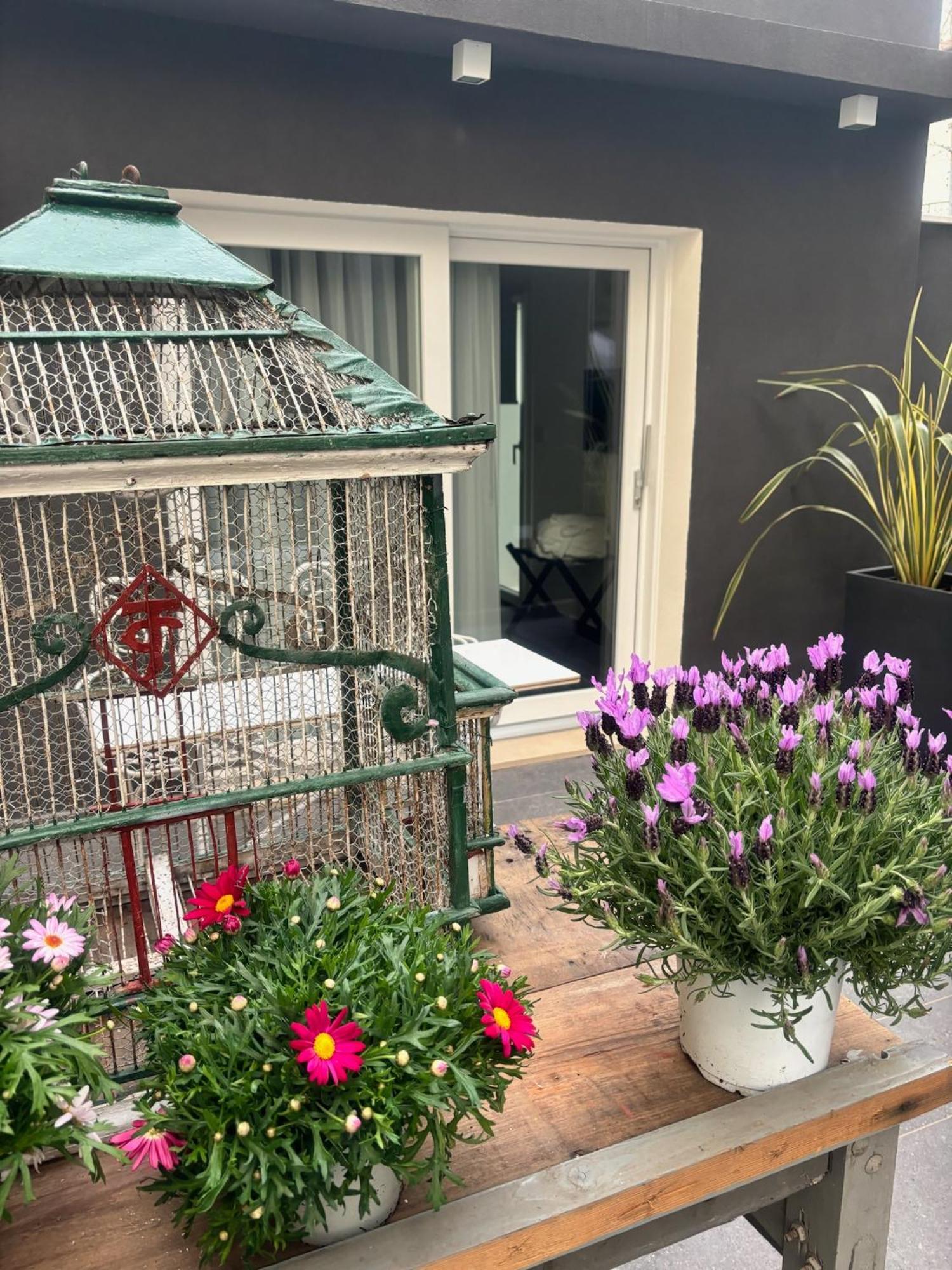 Villa Monti Suites&Aparts Cesenatico Dış mekan fotoğraf